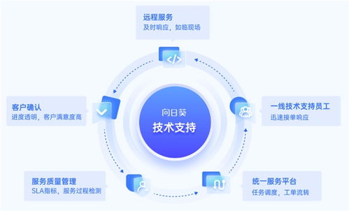 数字认证服务商如何搭建技术支持服务体系 贝锐向日葵高效助力数字技术服务