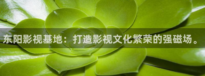 岛国伦理影片：东阳影视基地：打造影视文化繁荣的强磁场。