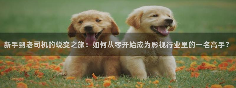 伦理视频日本：新手到老司机的蜕变之旅：如何从零开始成为影视行业里的一名高手？