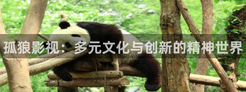 桔子伦理影院：孤狼影视：多元文化与创新的精神世界