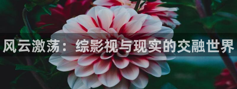 18伦理影院：风云激荡：综影视与现实的交融世界
