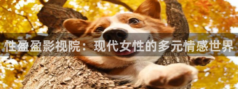 abc伦理影院：性盈盈影视院：现代女性的多元情感世界