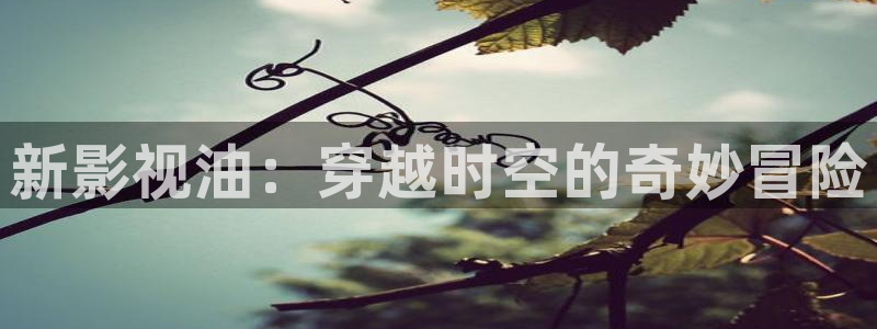神马免费伦理影院：新影视油：穿越时空的奇妙冒险