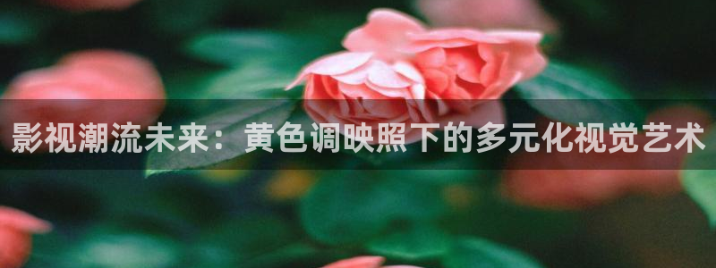 8090伦理影院：影视潮流未来：黄色调映照下的多元化视觉艺术