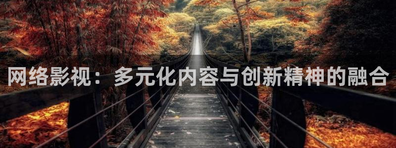 宅男伦理视频：网络影视：多元化内容与创新精神的融合