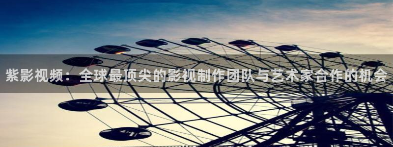 久久精品伦理视频：紫影视频：全球最顶尖的影视制作团队与艺术家合作的机会