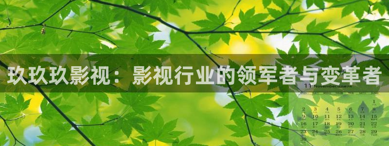 午夜伦理影院免费观看www：玖玖玖影视：影视行业的领军者与变革者
