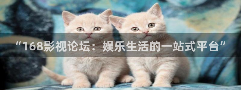 新伦理影院：“168影视论坛：娱乐生活的一站式平台”