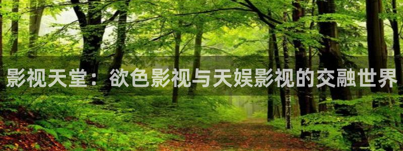在线伦理影院：影视天堂：欲色影视与天娱影视的交融世界