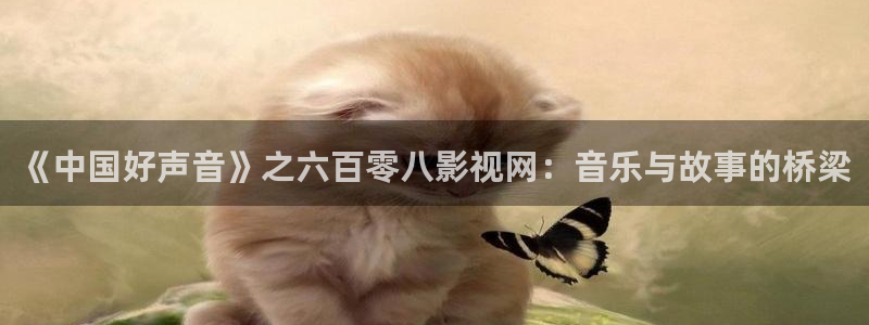 秋霞伦理影院在线：《中国好声音》之六百零八影视网：音乐与故事的桥梁